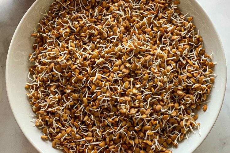 Sprouted Horse Gram