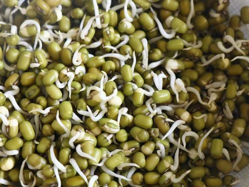 Sprouted Moong